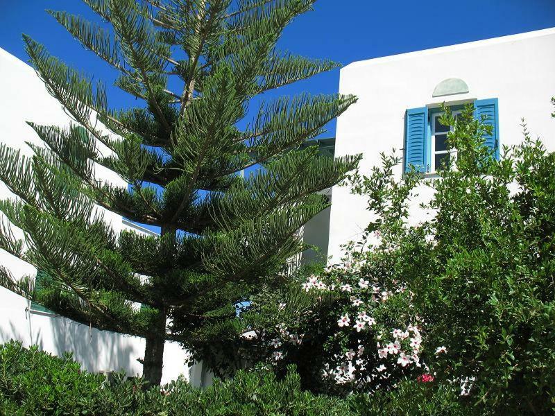 Hotel Kapari Agia Anna  Esterno foto